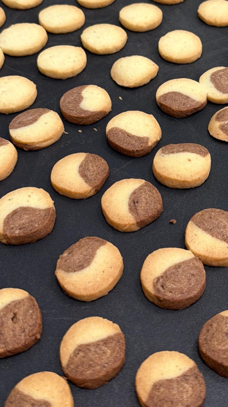 whatsapp image 2025 10 16 at 11.24.49